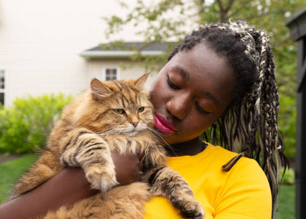 istock Black Girl Cuddling her Cat 1253918121