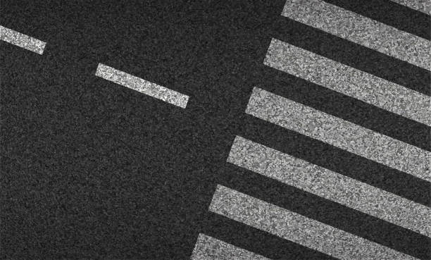 ilustrações, clipart, desenhos animados e ícones de ilustração vetorial de asfalto e crosswalk. condução e movimento de segurança - asphalt road street dividing line