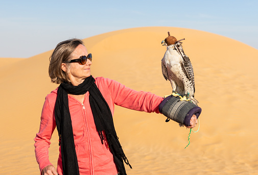 Dubai, United Arab Emirates - November 9, 2016: Middle age female tourist is holding a falcon.
