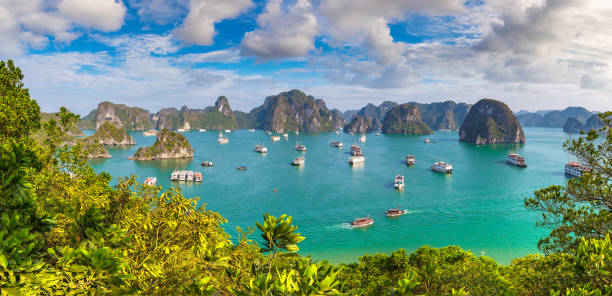 Halong bay, Vietnam Panorama of Halong bay, Vietnam in a summer day gulf of tonkin photos stock pictures, royalty-free photos & images