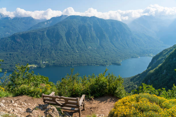istock High angle view on panorama of Lake Bohinj 1253928783