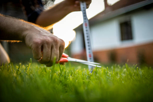 The gardener cuts the grass precisely - he mows the grass arranging the yard - a perfectionist Man Cutting Grass with Scissors yard measurement stock pictures, royalty-free photos & images