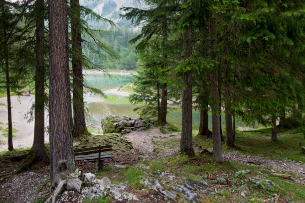 istock Green lake in the Austria Alps 1253930860