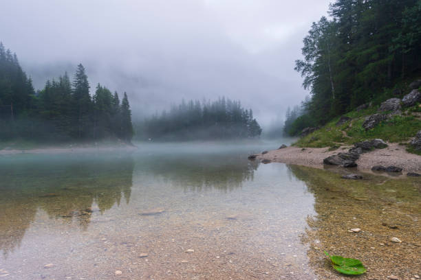 istock Green lake in the Austria Alps 1253930874