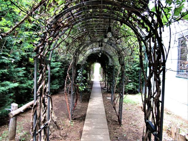istock Japan, Jyne. Perspective. Archway in the park. 1253933664
