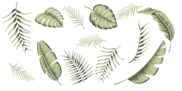 экзотические свадебные винтаж коллекции тропических листьев - fern frond leaf illustration and painting stock illustrations