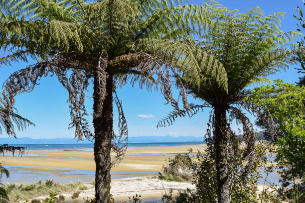 istock PANORAMIC BEACH VIEW FROM ABEL TASMAN NEW ZEALAND 1253941811