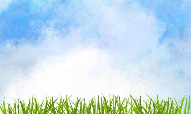 istock Clouds and Grass on Summer Day with Copy Space - Nature Background 1253944537