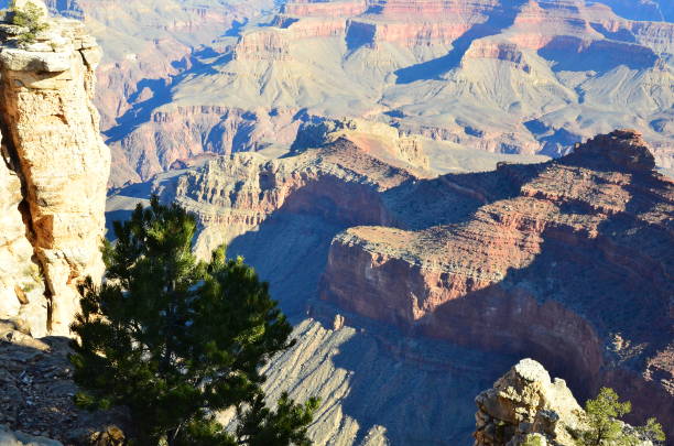 istock Grand Canyon National Park, Arizona 1253946431