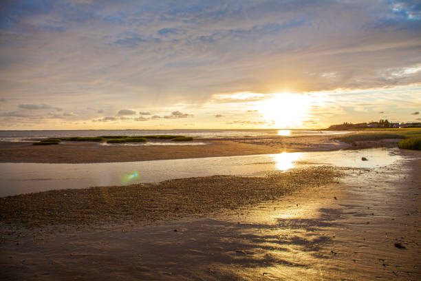 istock The Wadden Sea 1253946555