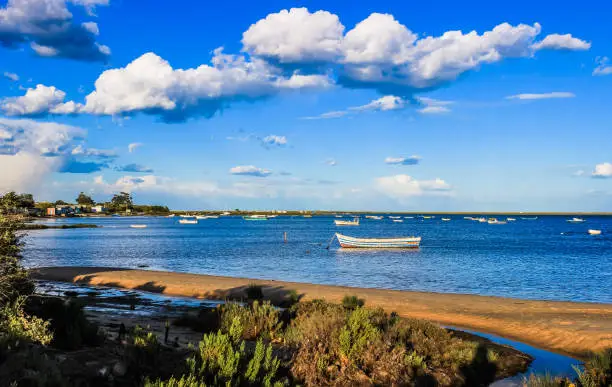 Photo of Ria Formosa near Olhão