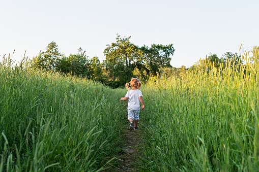 A little girl walks through a field in the village. The concept of moving forward into the future.
