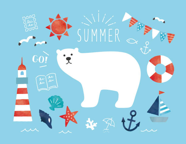 illustrazioni stock, clip art, cartoni animati e icone di tendenza di orso polare e prodotti estivi - starfish beach white shell