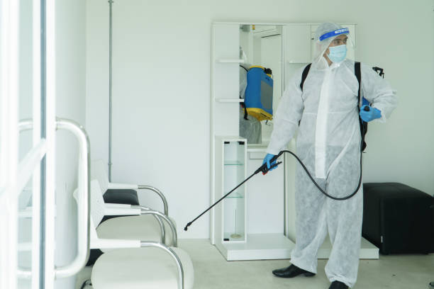 istock Public health workers are spraying disinfectants 1253950741