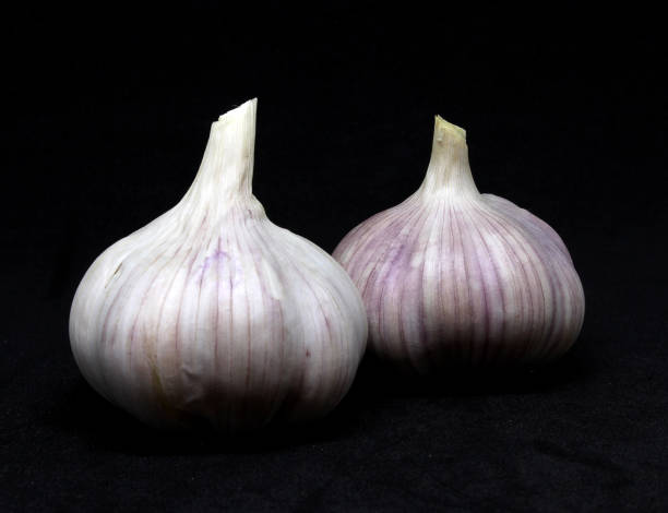 istock Garlic isolated on black background 1253952060