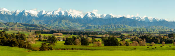 Snow capped Tararua Ranges The gorgeous Tararua Ranges in the Wairarapa with snow on the peaks and the lush rural agricultural valley below fox glacier photos stock pictures, royalty-free photos & images