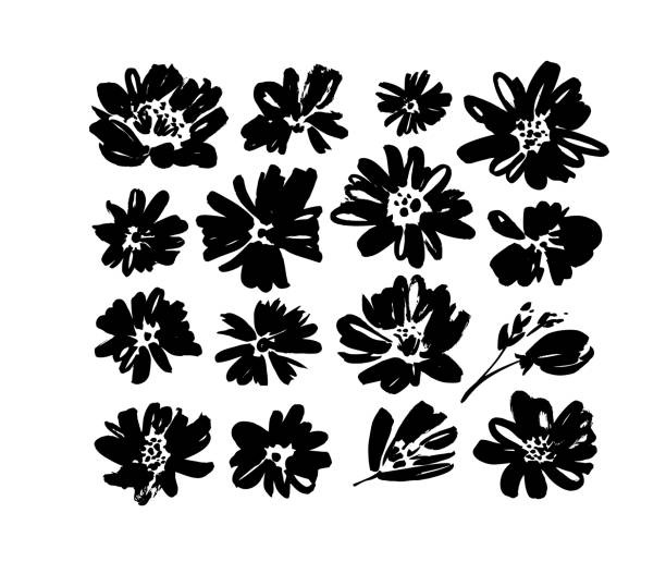 Chamomile hand drawn black paint vector set. Ink drawing flowers and plants, monochrome artistic botanical illustration. Chamomile hand drawn black paint vector set. Ink drawing flowers and plants, monochrome artistic botanical illustration. Isolated floral elements, daisy, aster, chrysanthemum. Brush strokes silhouette paint silhouettes stock illustrations