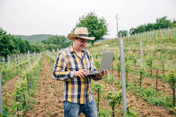 istock Professional man wine maker use a laptop to inspect his wine yard 1253955553
