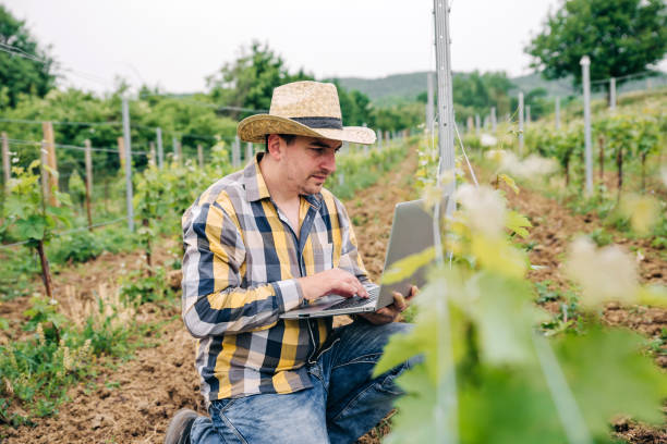 istock Professional man wine maker use a laptop to inspect his wine yard 1253955555