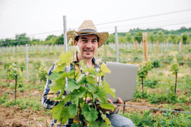 istock Professional man wine maker use a laptop to inspect his wine yard 1253955557
