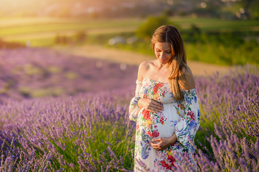 Beautiful young pregnant woman holding her belly and standing on a lavender field during sunset.