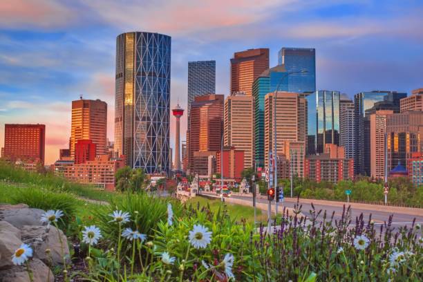 istock Flowers By Downtown Calgary 1253960027