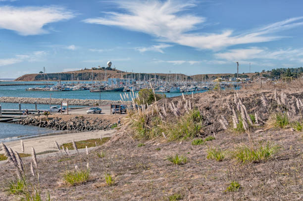 istock Half Moon Bay Overlooking Johnson Pier 1253963723
