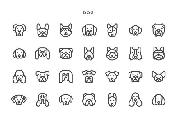 Dog Icons Dog Icons - Vector EPS 10 File, Pixel Perfect 28 Icons. hound stock illustrations