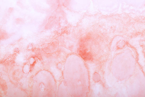 Natural Abstract of Color in Pink Orange Brown Orchre