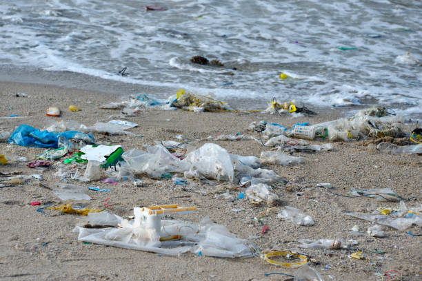 istock Beach pollution. Plastic bottles and other trash on sea beach 1253971715