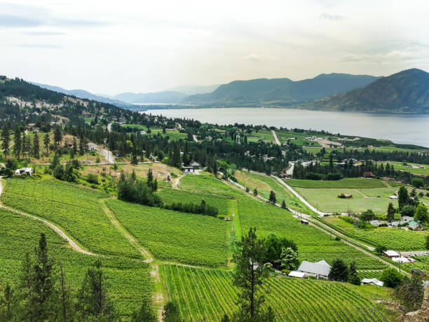 istock Wineries and Orchards View Green Okanagan BC Agriculture 1253971872