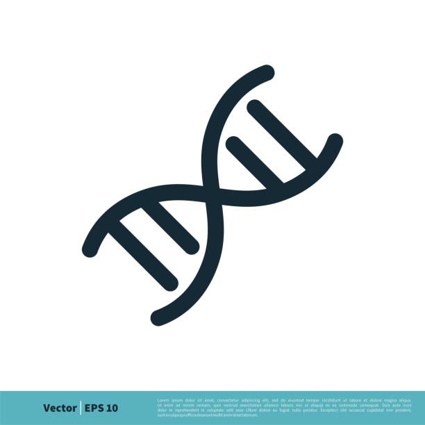 dna 헬릭스 아이콘 벡터 로고 템플릿 일러스�트 디자인. 벡터 eps 10. - dna chromosome genetic research genetic mutation stock illustrations