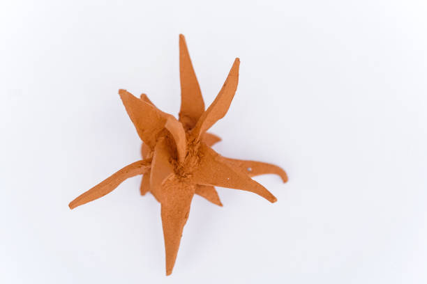 istock Clay model of Coronavirus mutation a new version coming up on white background 1253979106