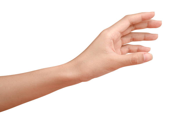 istock Hand reach and ready to help or receive. Gesture isolated on white background with clipping path. 1253979259
