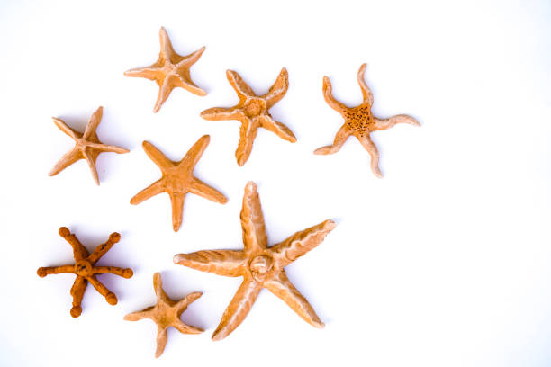 istock Clay models of Star mutation a new virus versions coming up on white background 1253979260