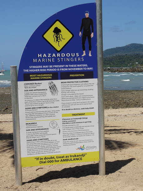 sinal de aviso - ferrões marinhos - box jellyfish - fotografias e filmes do acervo