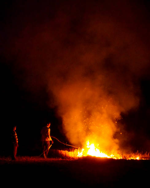 Stubble Burning Stubble Burning in crop fields of Punjab. field stubble stock pictures, royalty-free photos & images