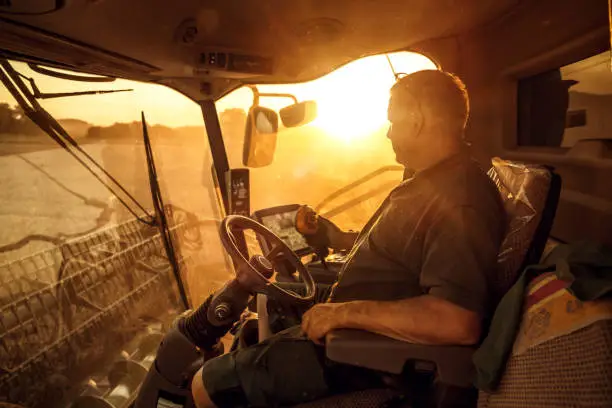 Shot of the interior of a modern combine during sunset. The operator is monitoring the work on a wheat field.
