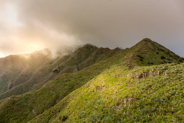 istock green foggy hills with clouds 1253986415