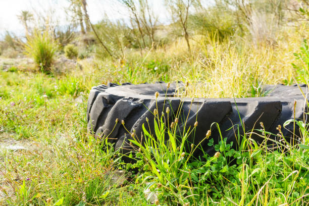 Destroyed rubber car tire on grass. Environmental protection. Waste pollution problem.