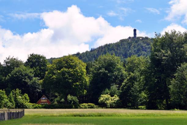 istock Summer in the mountains 1253992319
