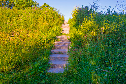 Stairs on a grassy green dike below a blue sky in sunlight in summer, Almere, Flevoland, The Netherlands, June 21, 2020