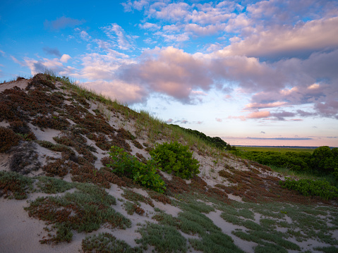 A colorful sunset on the beach with a sand path through some bushes.