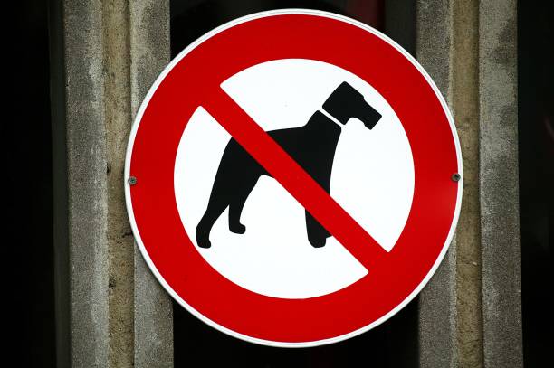 istock Sign for Prohibited Dogs 1253998064