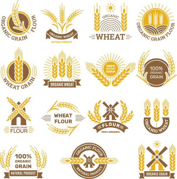 Wheat grain logo. Flour farm food for breakfast shop harvesting wheat traditional products vector badges set Wheat grain logo. Flour farm food for breakfast shop harvesting wheat traditional products vector badges set. Organic harvest natural, seed farming and grain illustration insignia healthy eating gold nature stock illustrations