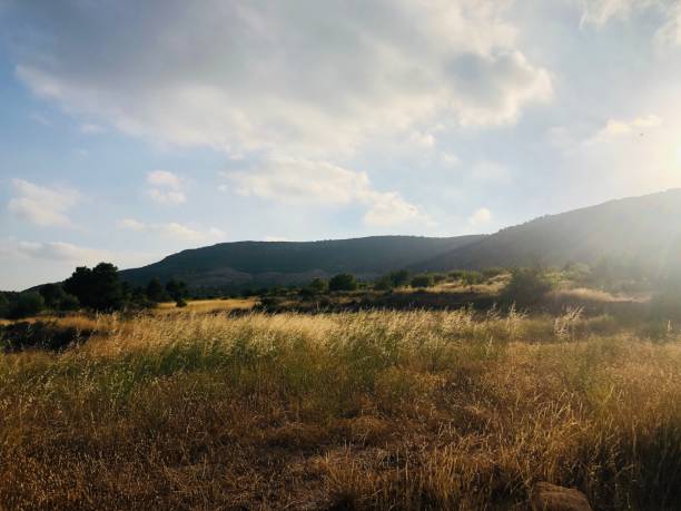 istock sunset in the field 1253999697