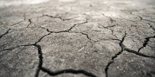 istock Cracked clay ground, Effects of global warming. 1254000632