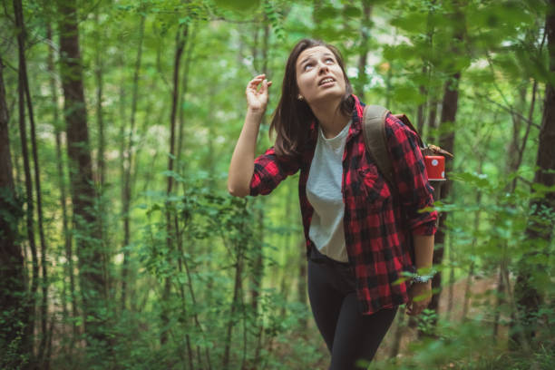 istock Best way to learn geography is by foot 1254003270