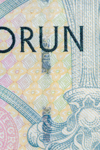 istock Plastic security strip on 100 CZK banknote. Security strip on Czech koruna banknote created to prevent counterfeiters. 1254008031