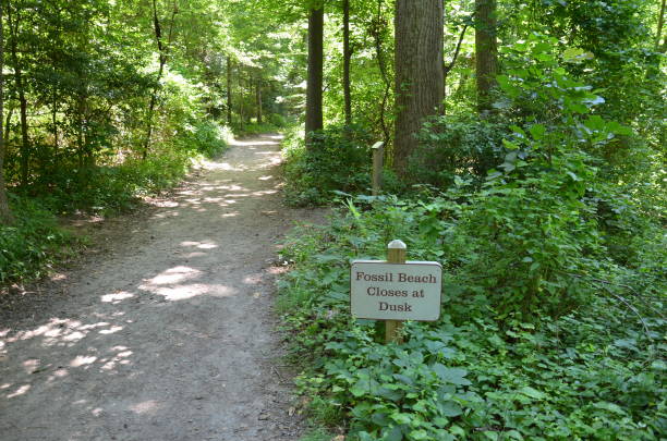 istock fossil beach closes at dusk sign and trail in forest 1254012321